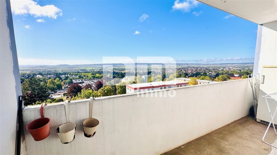 Wohnungspaket 3 Zimmer + Apartment mit Balkon, Panoramablick in Traumlage - WE1 Balkon / Panoramablick